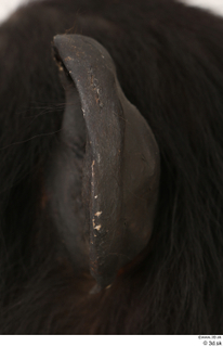 Chimpanzee Bonobo ear 0004.jpg